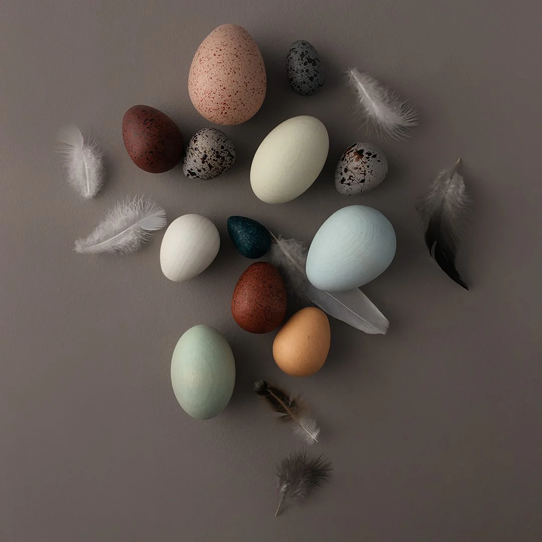 Moon Picnic | A Dozen Bird Eggs Basket - Image 4