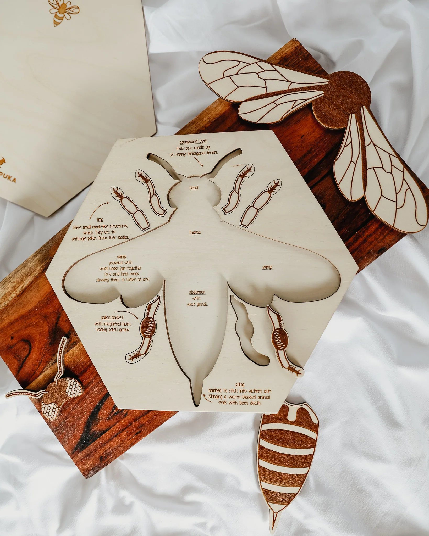 Bee Anatomy Wooden Puzzle - Image 2