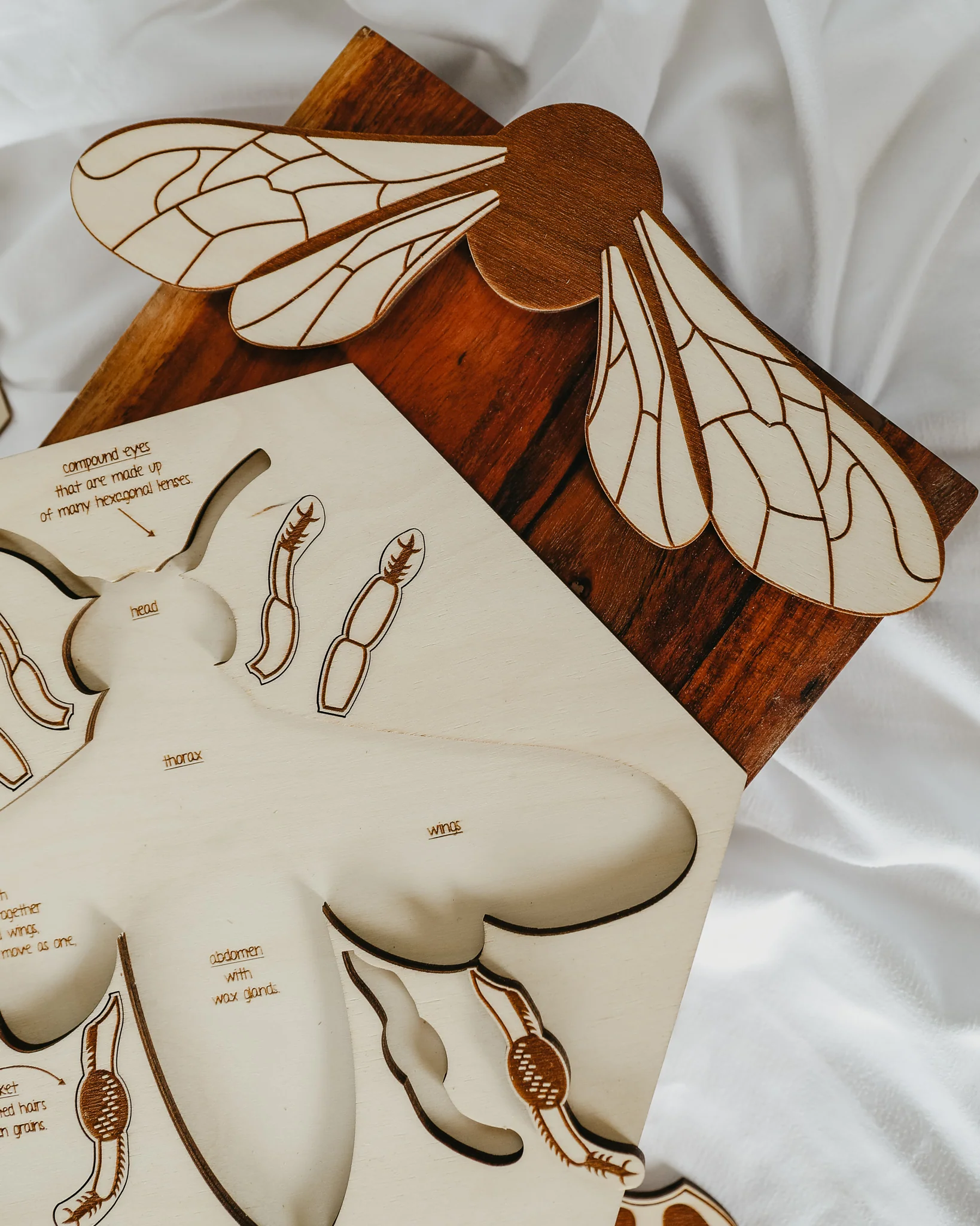 Bee Anatomy Wooden Puzzle - Image 4