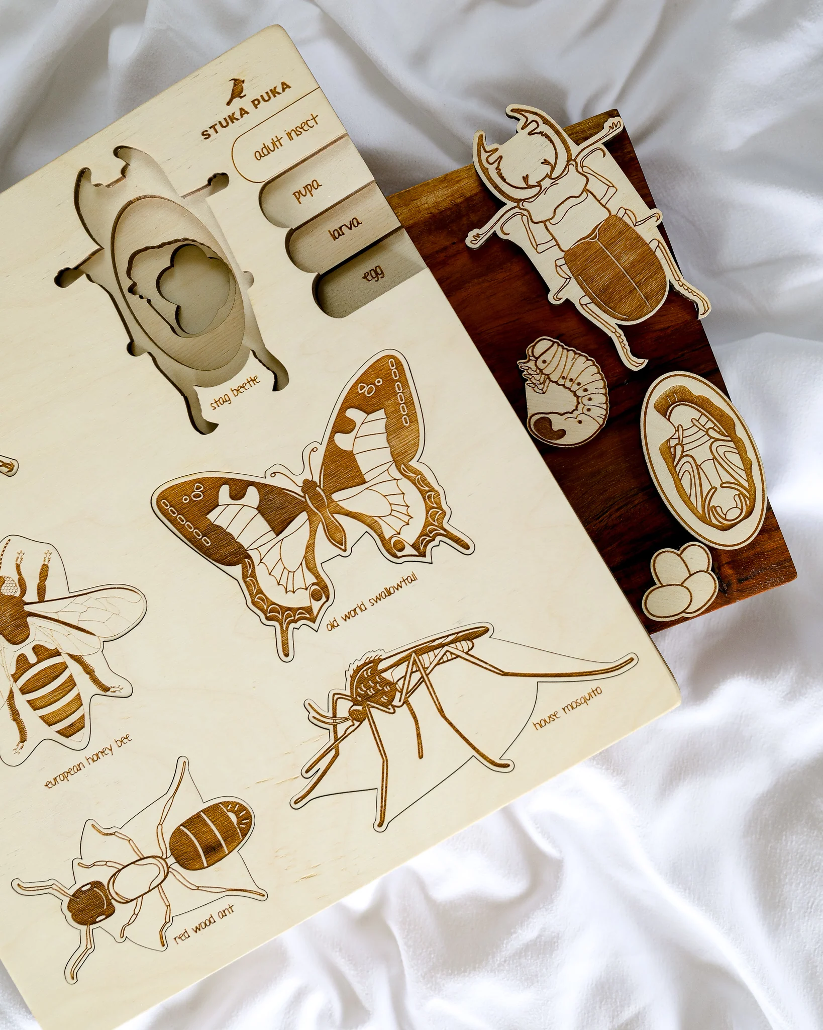 Bug Life Cycle Wooden Puzzle - Image 2