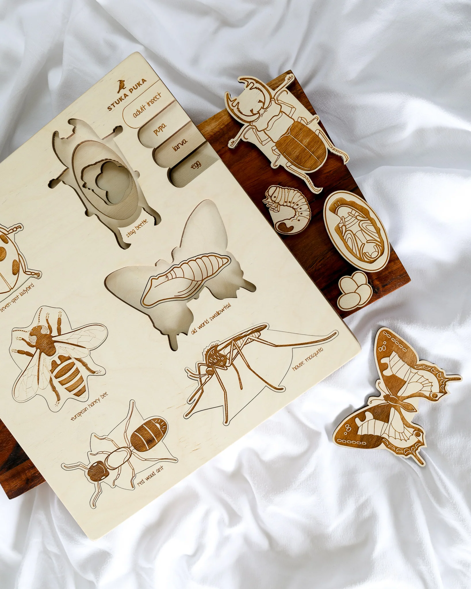 Bug Life Cycle Wooden Puzzle - Image 3