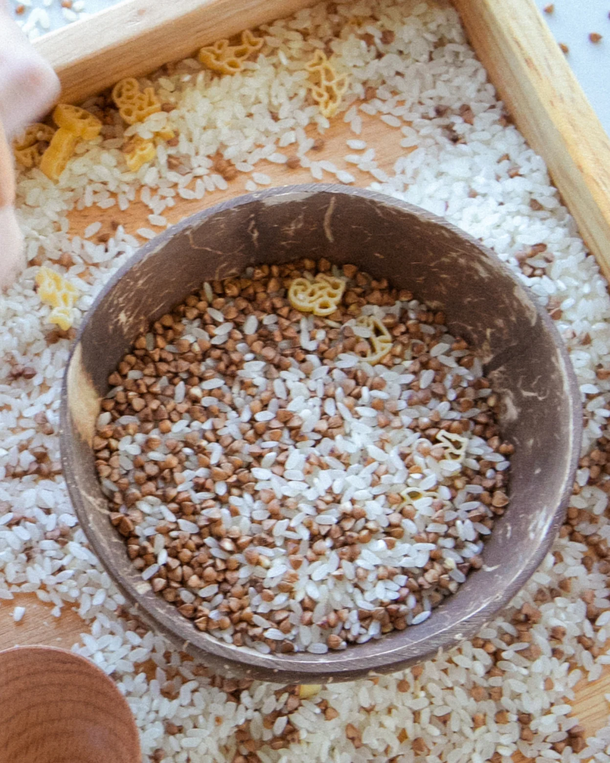Coconut Bowl - Image 5