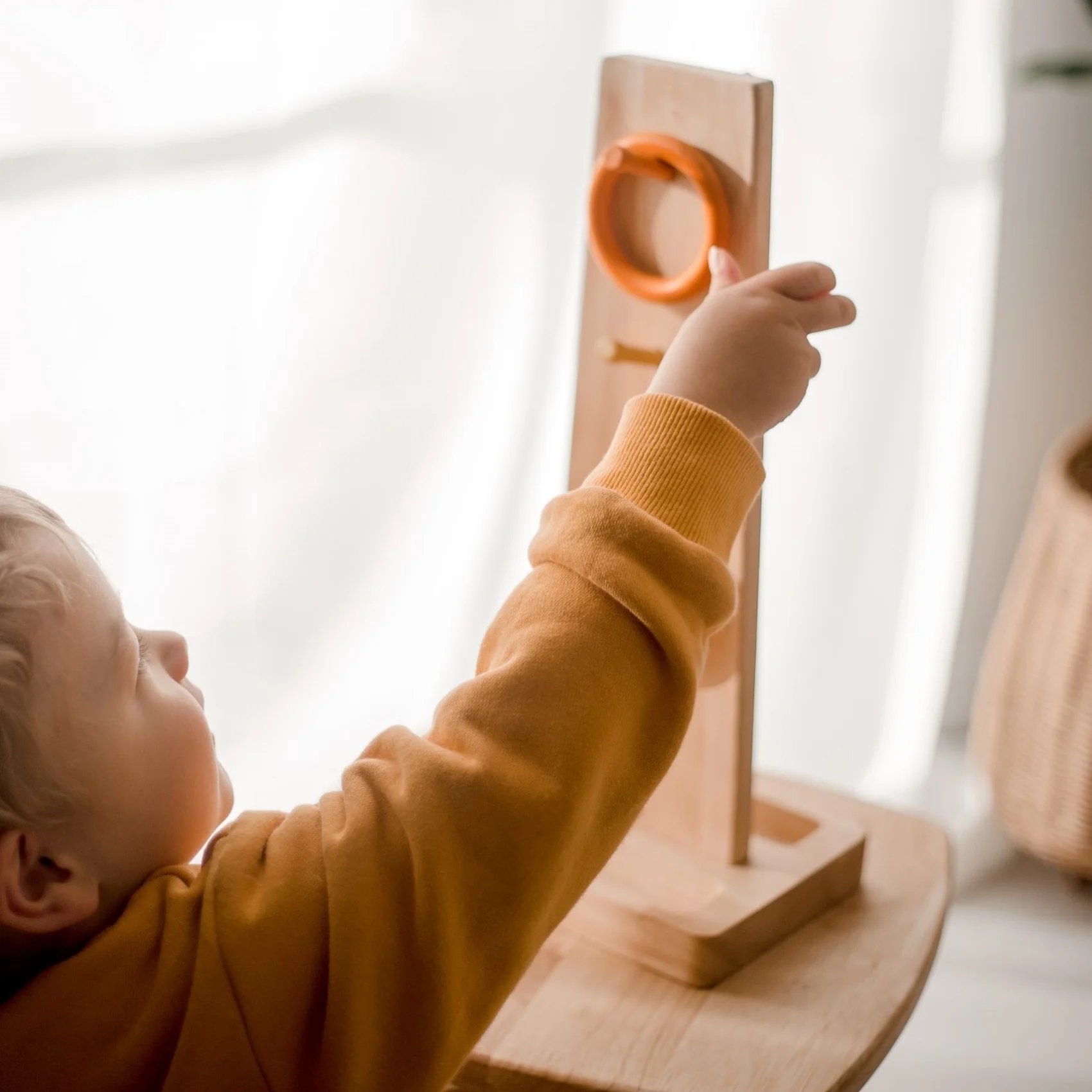 Color Sorting Ring Toss Game - Image 6