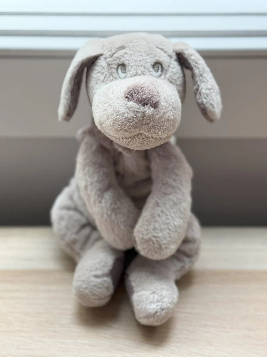 Dimpel | Fifi the Plush Dog (Petite) - Image 5