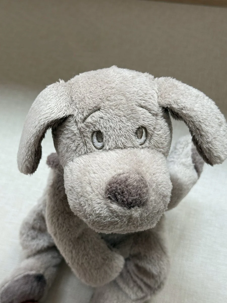 Dimpel | Fifi the Plush Dog (Petite) - Image 6