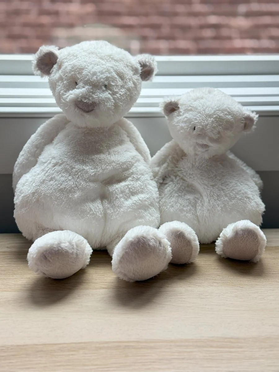 Dimpel | Noann the Teddy Bear (Large) - Image 2