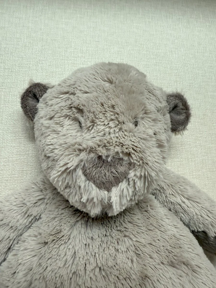 Dimpel | Noann the Teddy Bear (Large) - Image 13