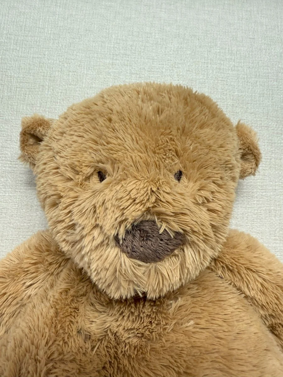 Dimpel | Noann the Teddy Bear (Large) - Image 17