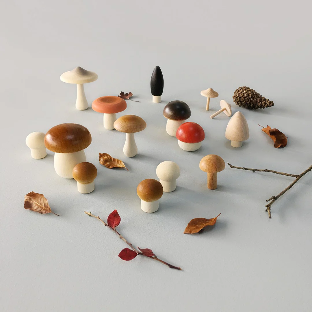 Forest Mushrooms in a Box by Moon Picnic - Image 4