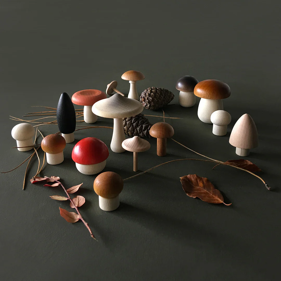 Forest Mushrooms in a Box by Moon Picnic - Image 5