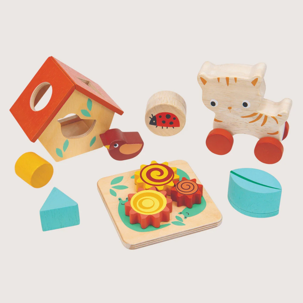Montessori Toys