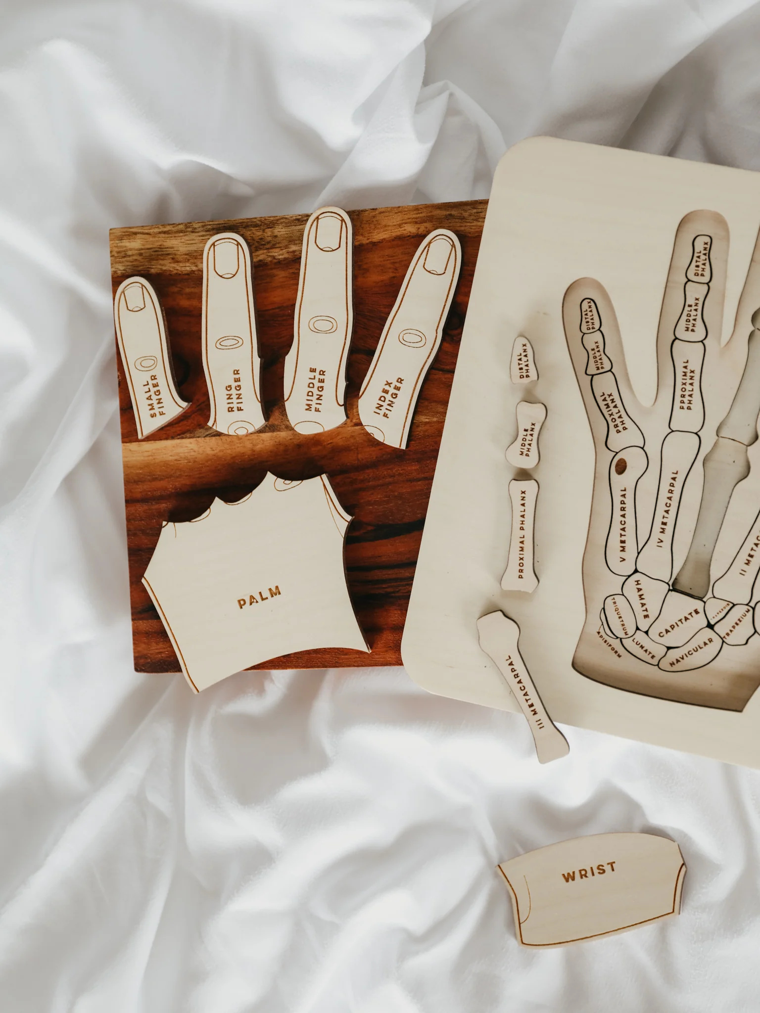 Hand Anatomy Wooden Puzzle - Image 4