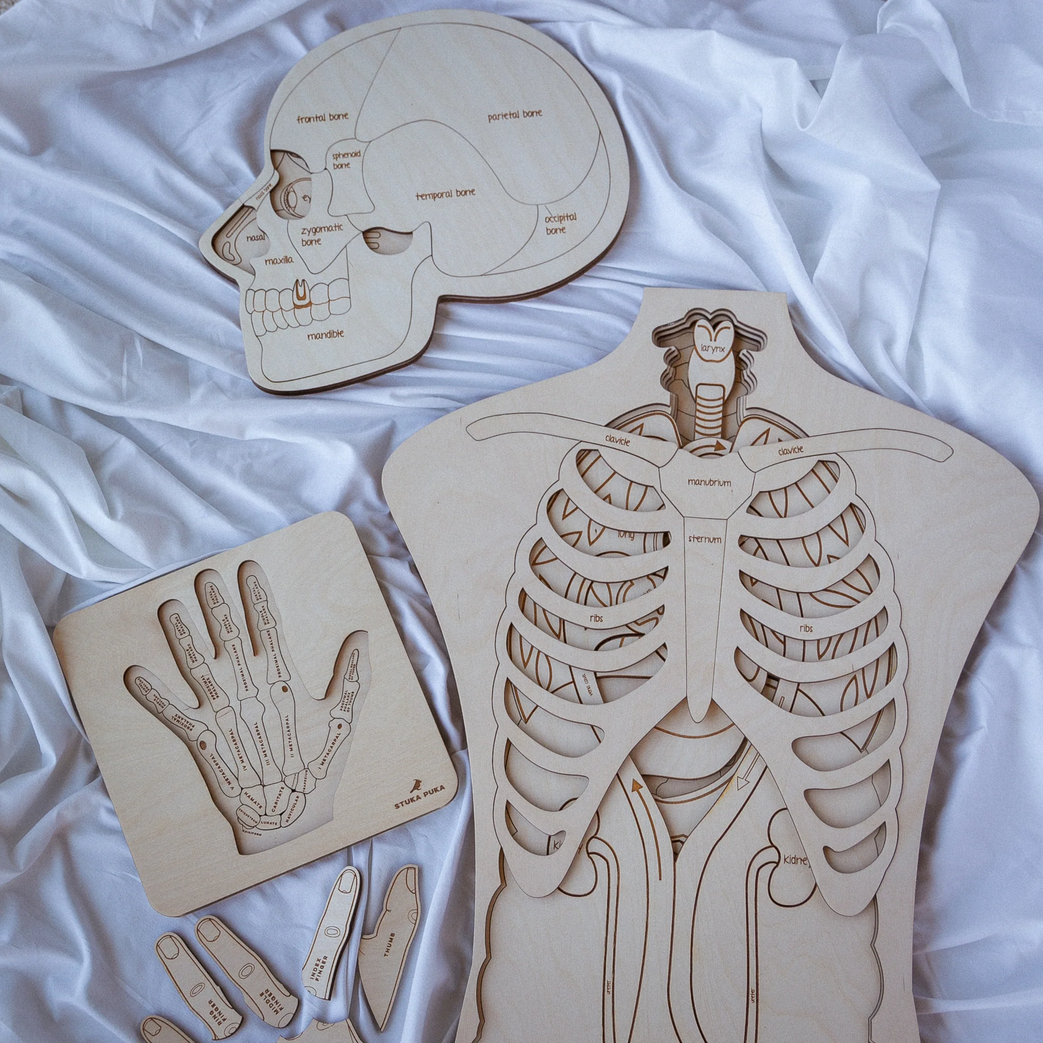 Hand Anatomy Wooden Puzzle - Image 5