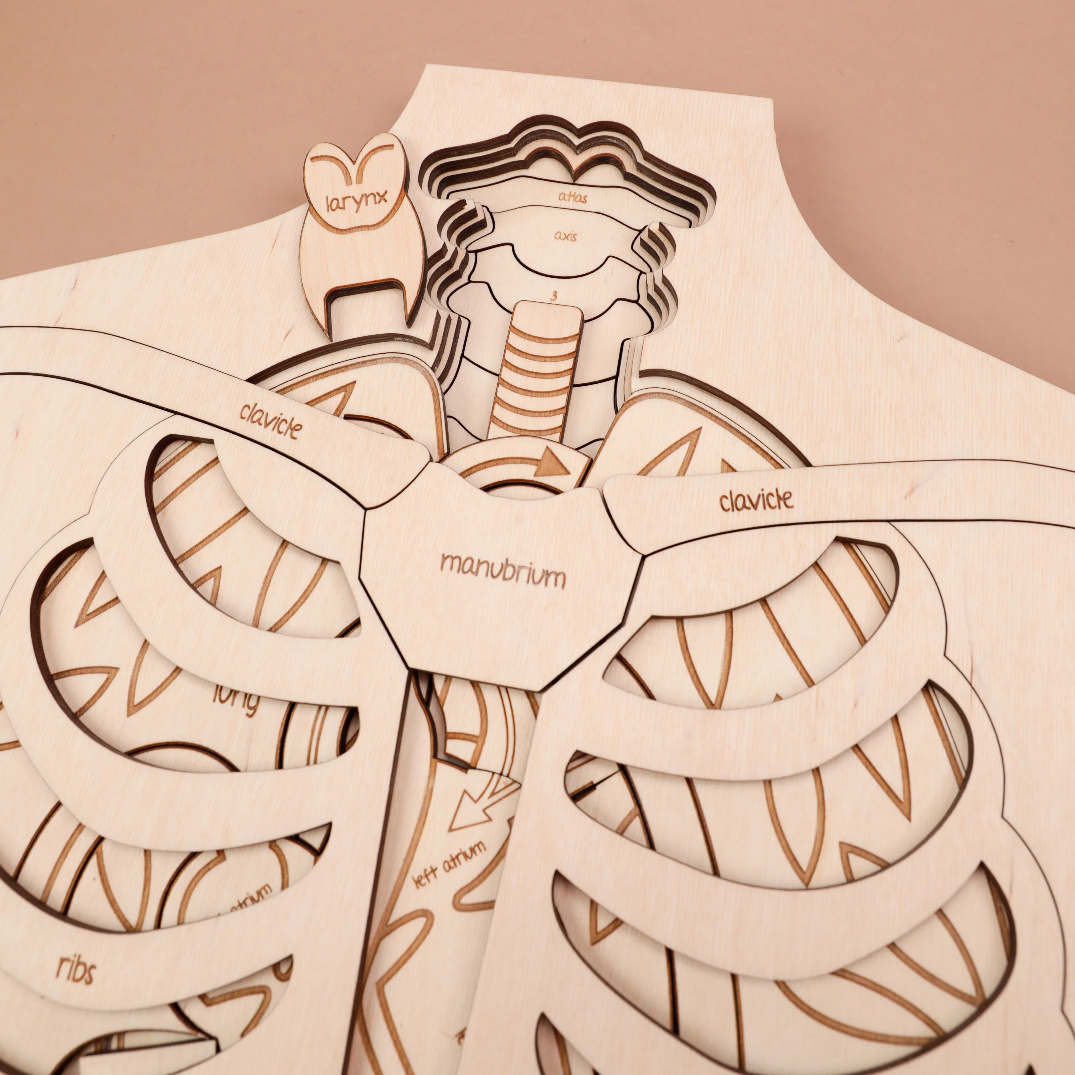 Human Anatomy Wooden Puzzle - Image 3