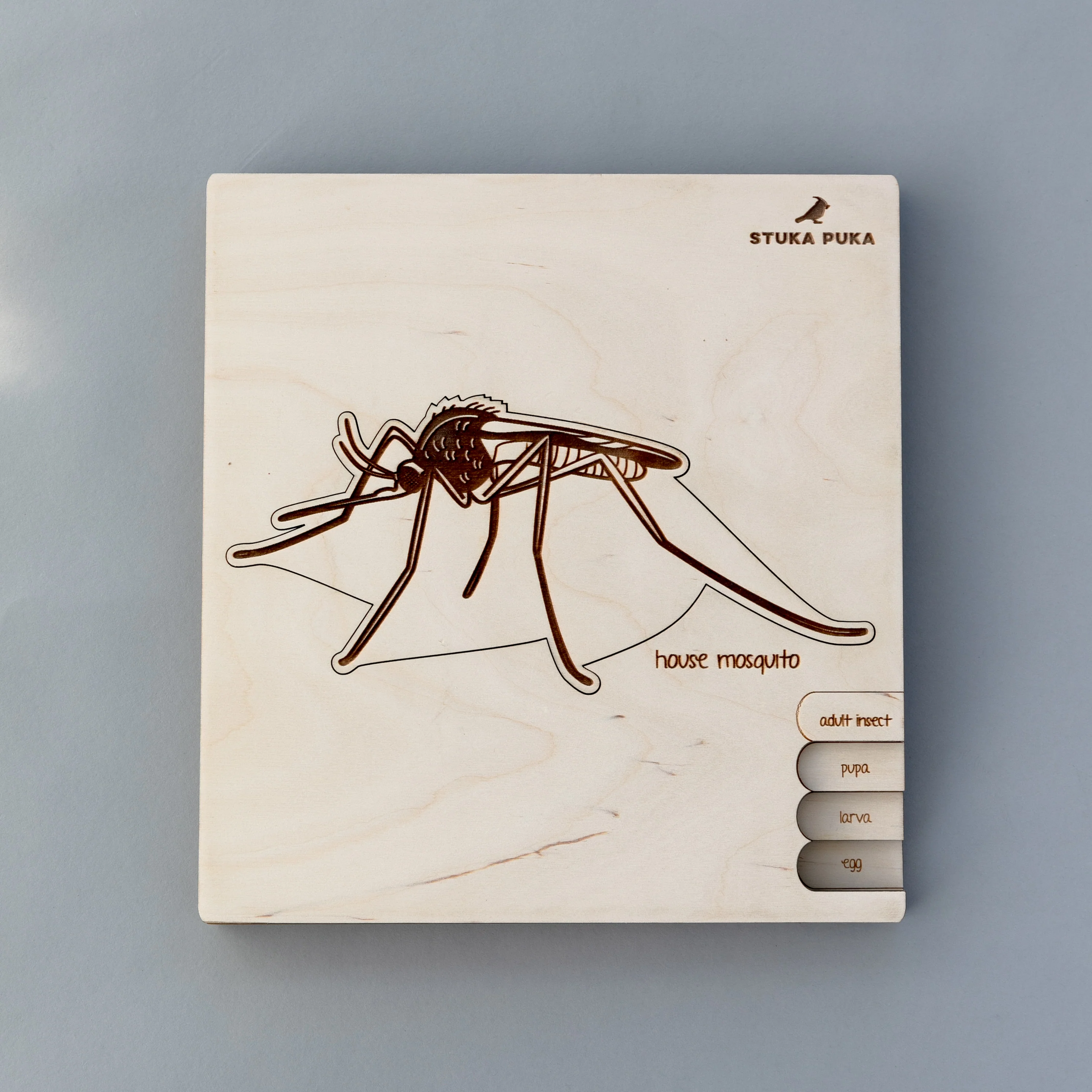 Insects Life Cycle Wooden Puzzle - Image 11