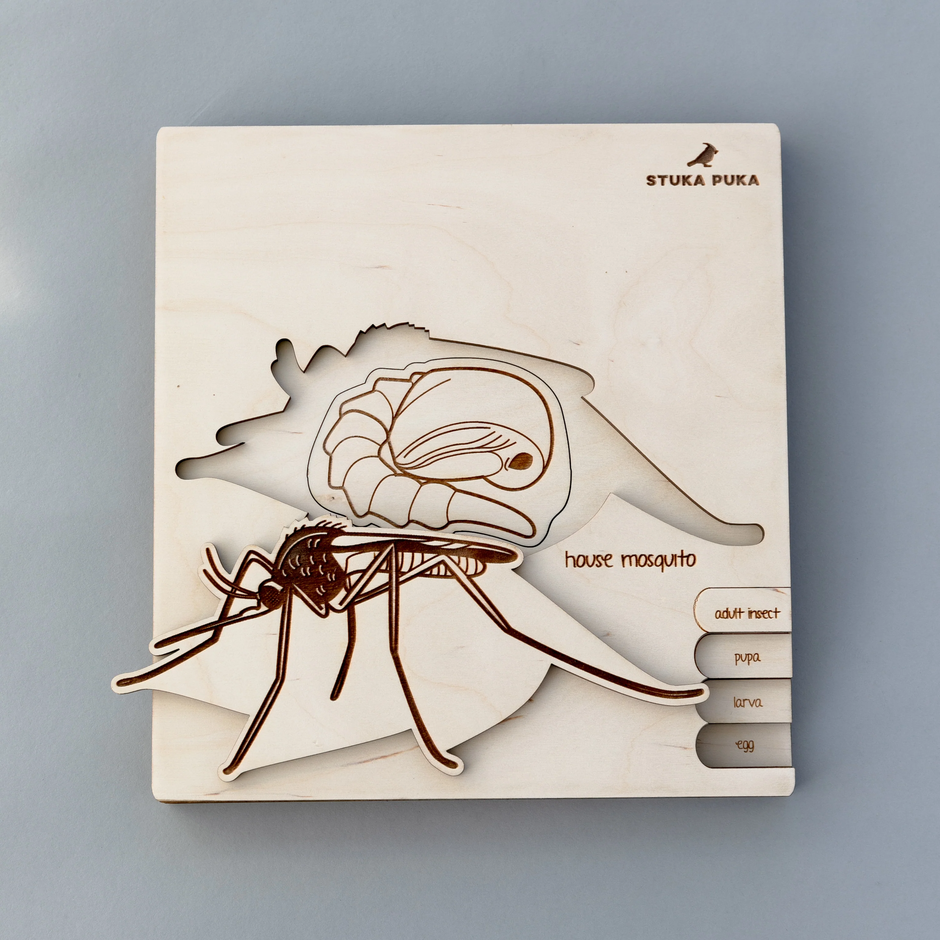 Insects Life Cycle Wooden Puzzle - Image 12