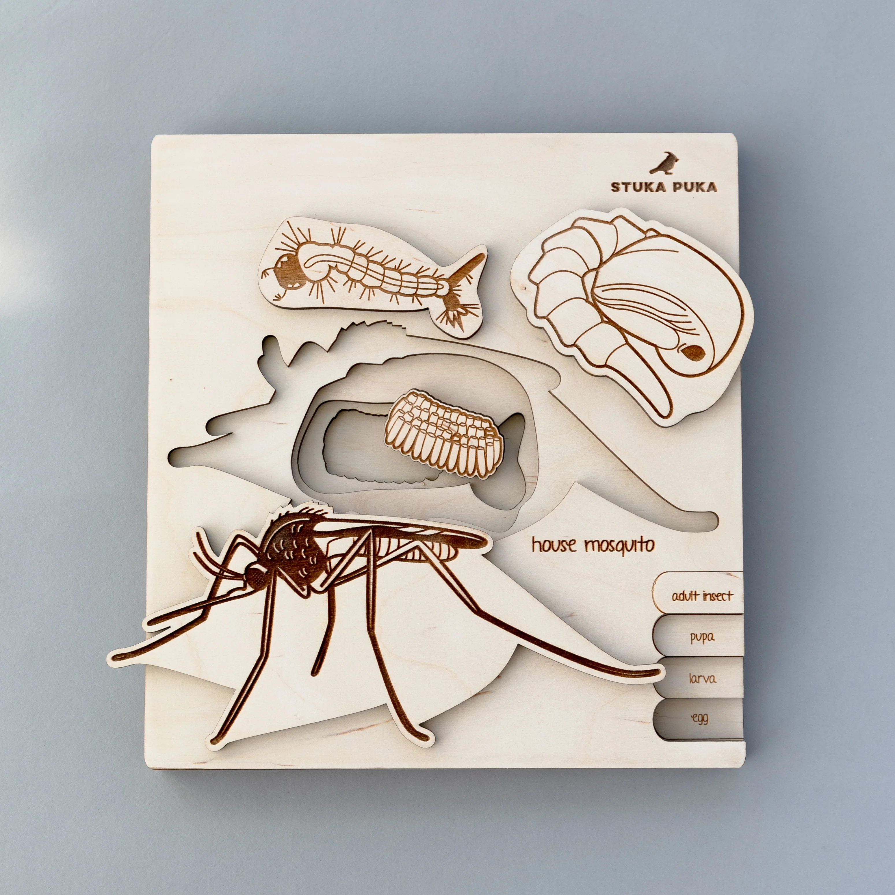 Insects Life Cycle Wooden Puzzle - Image 13