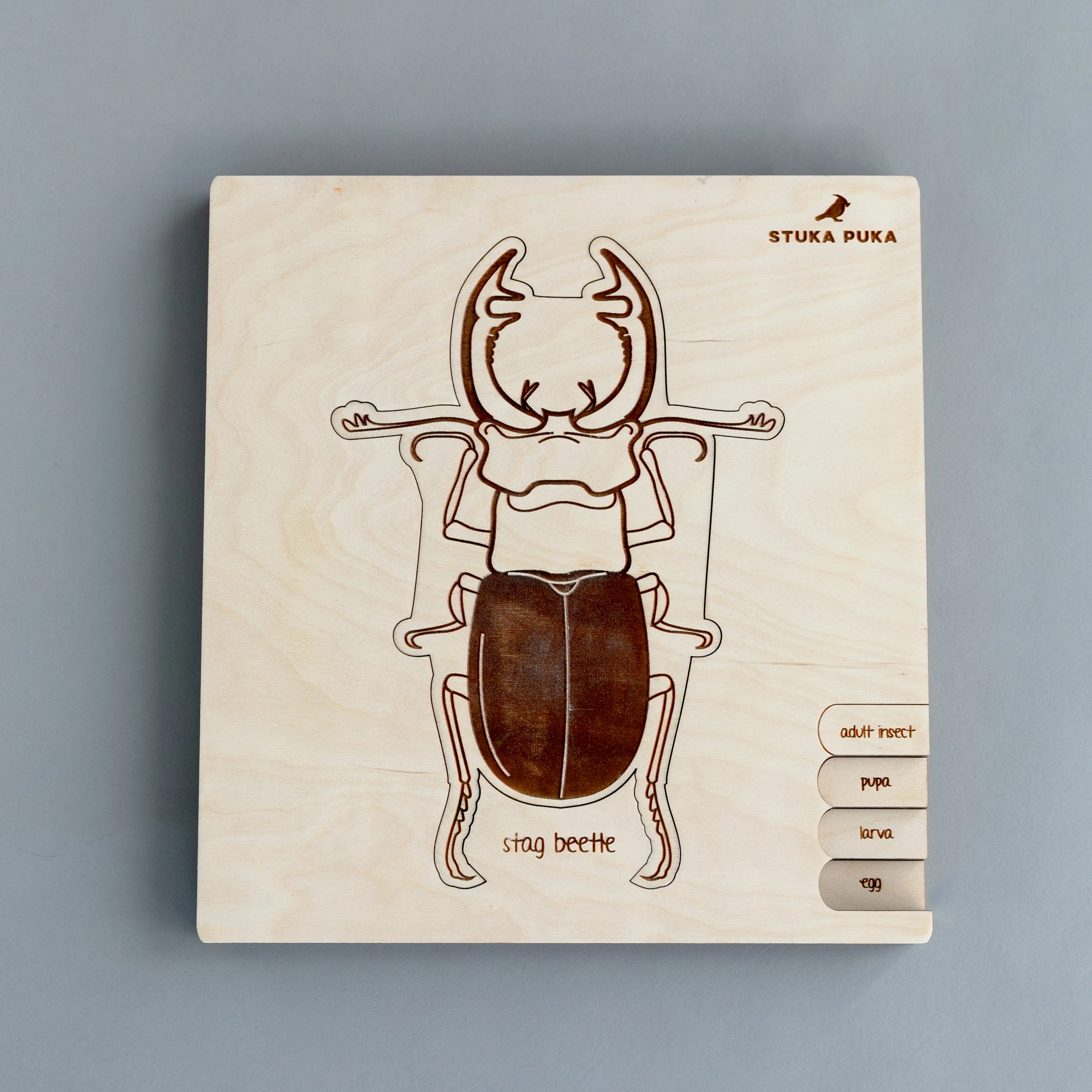 Insects Life Cycle Wooden Puzzle - Image 17