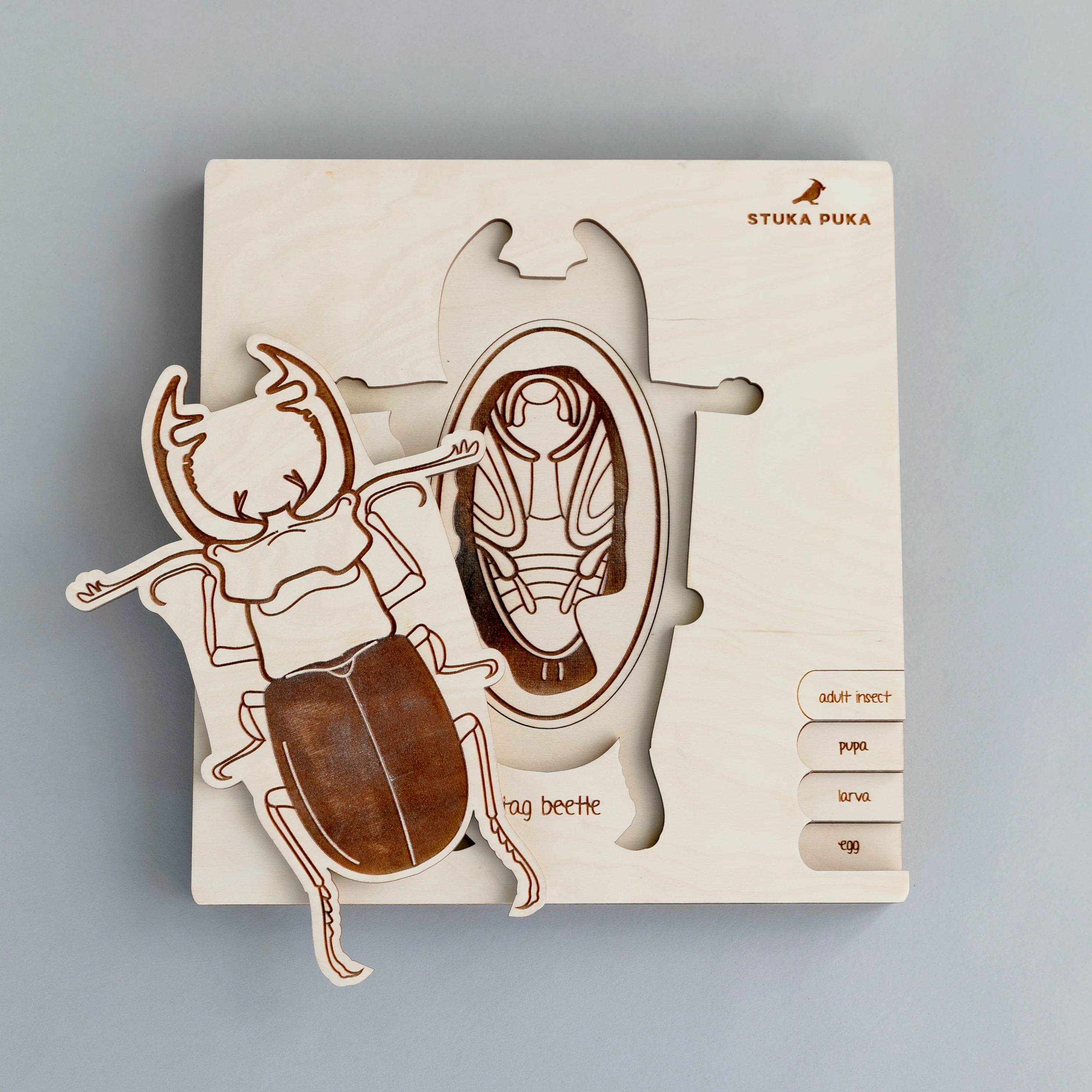 Insects Life Cycle Wooden Puzzle - Image 18
