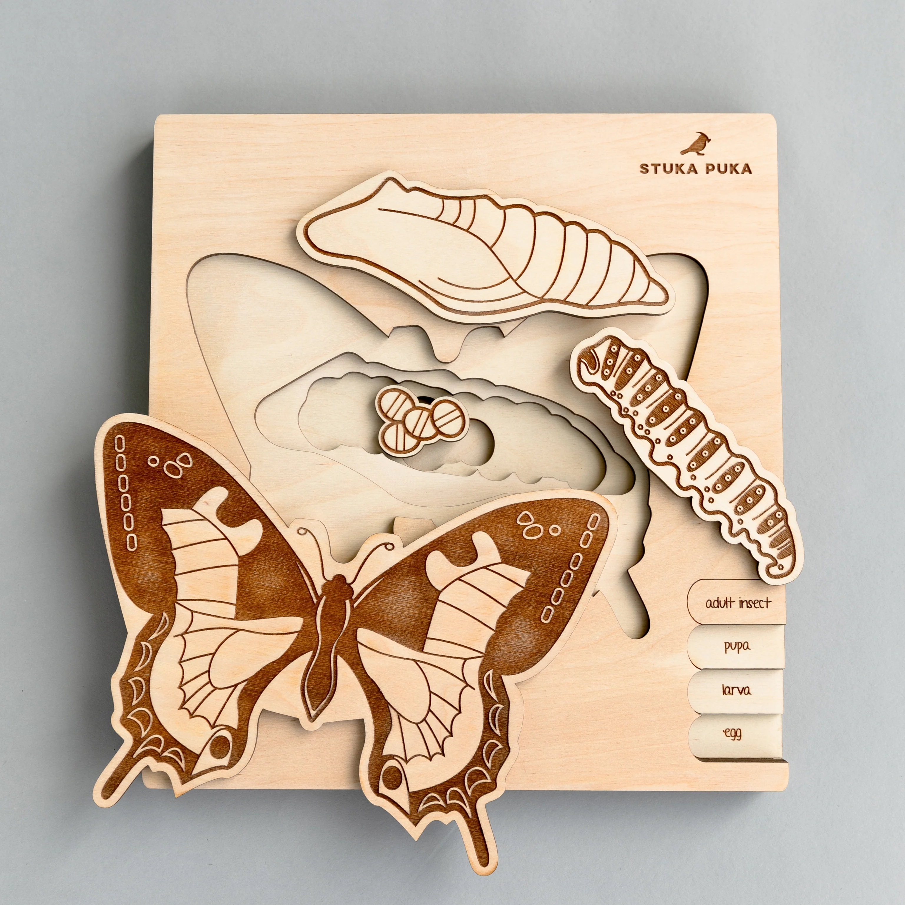 Insects Life Cycle Wooden Puzzle - Image 2