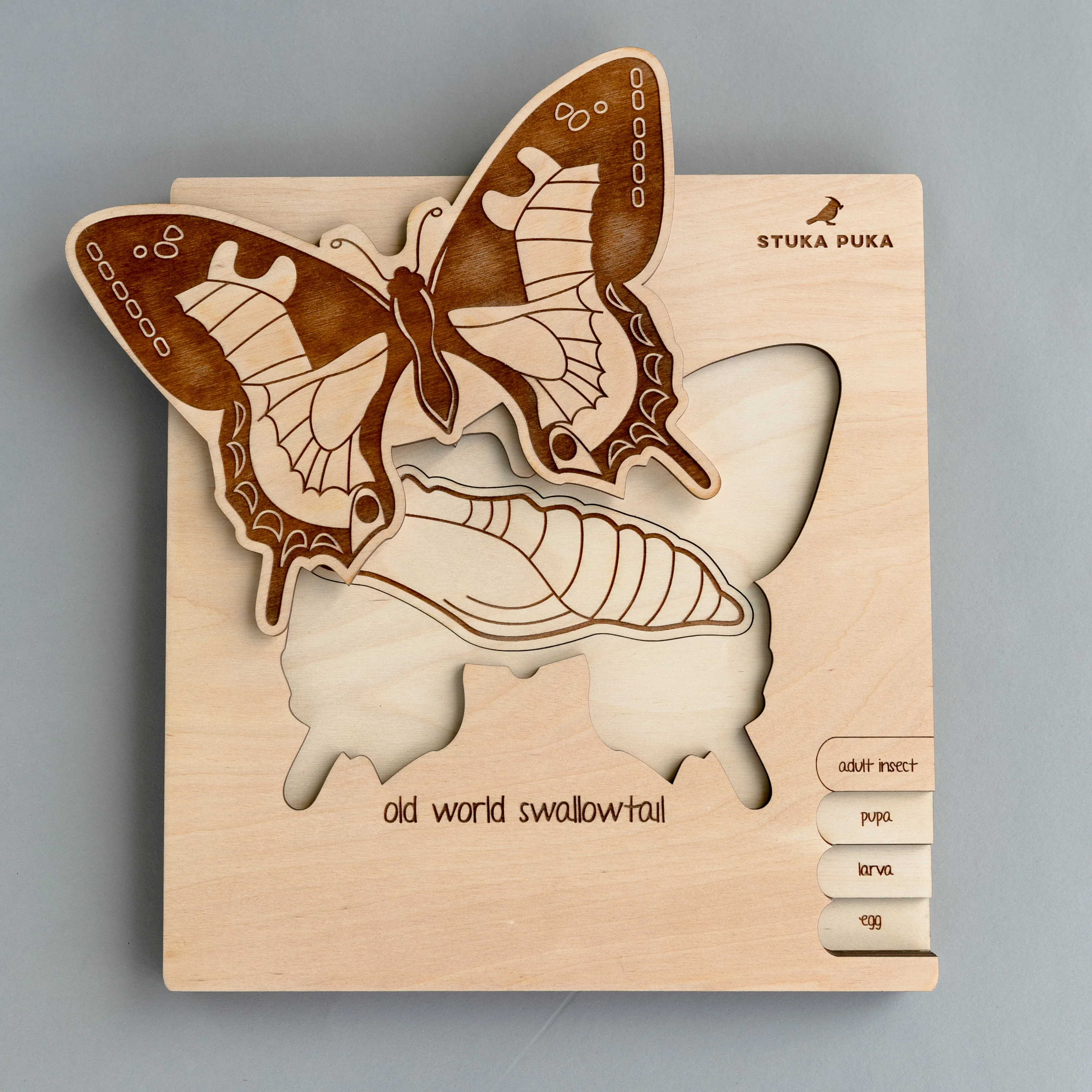 Insects Life Cycle Wooden Puzzle - Image 3