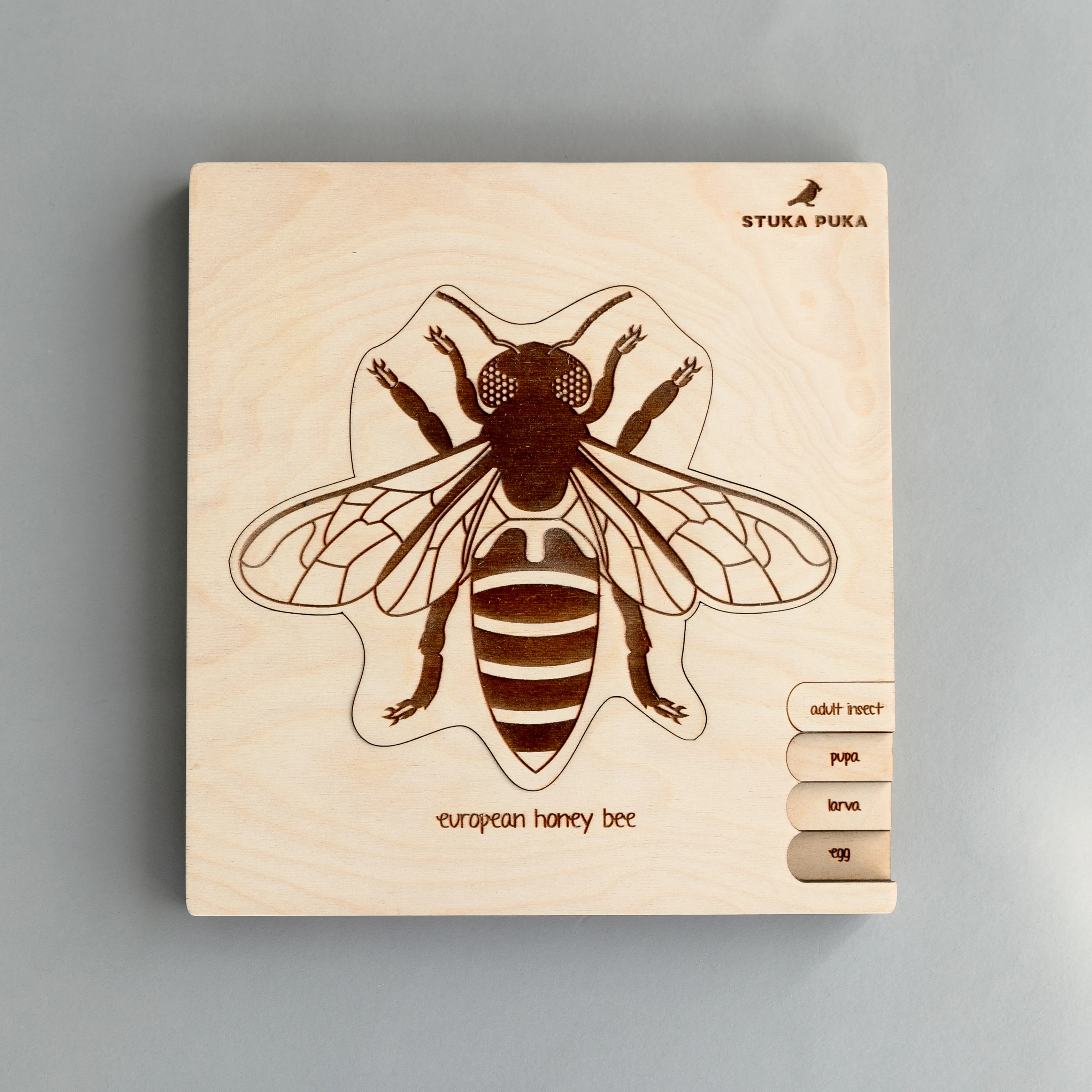 Insects Life Cycle Wooden Puzzle - Image 4