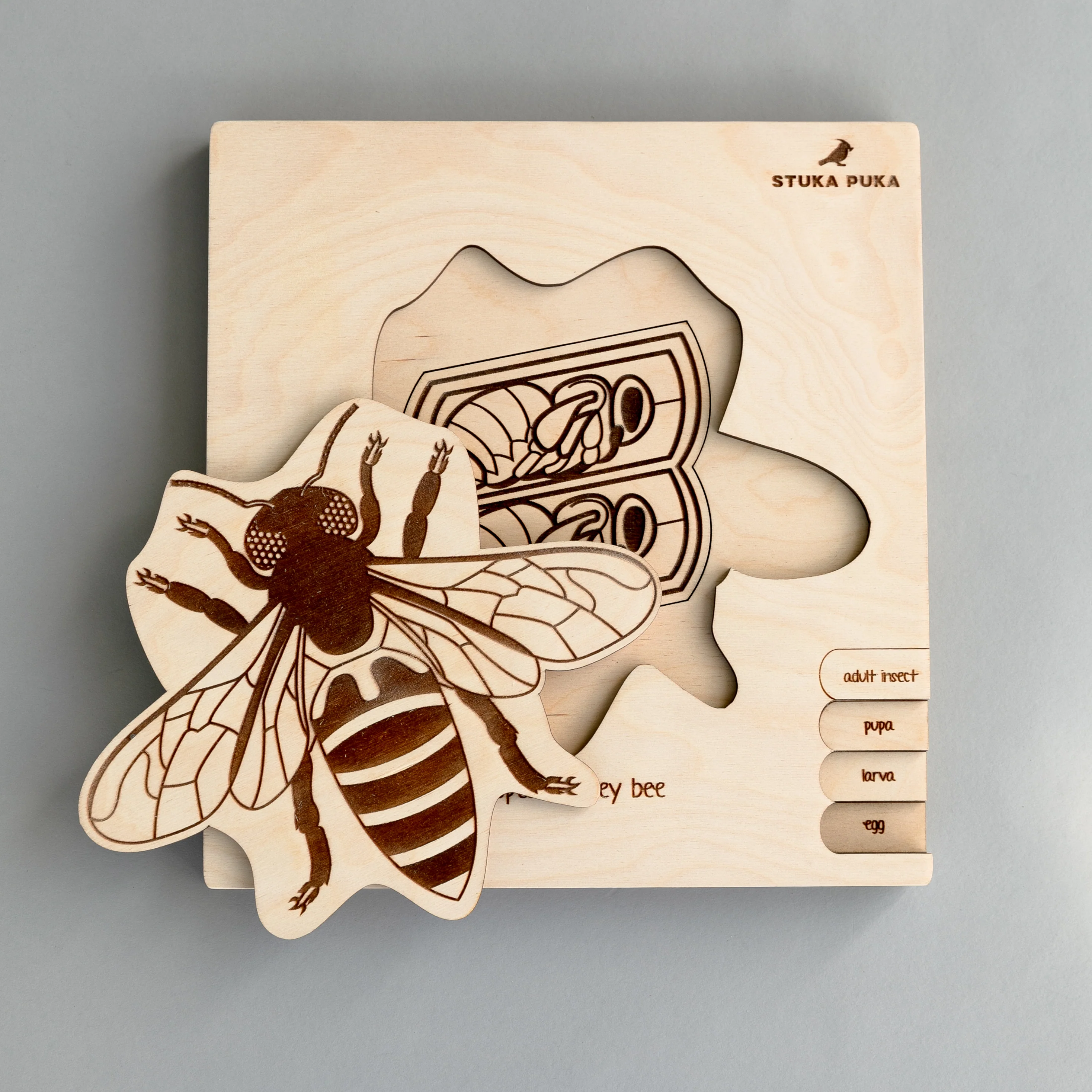 Insects Life Cycle Wooden Puzzle - Image 5