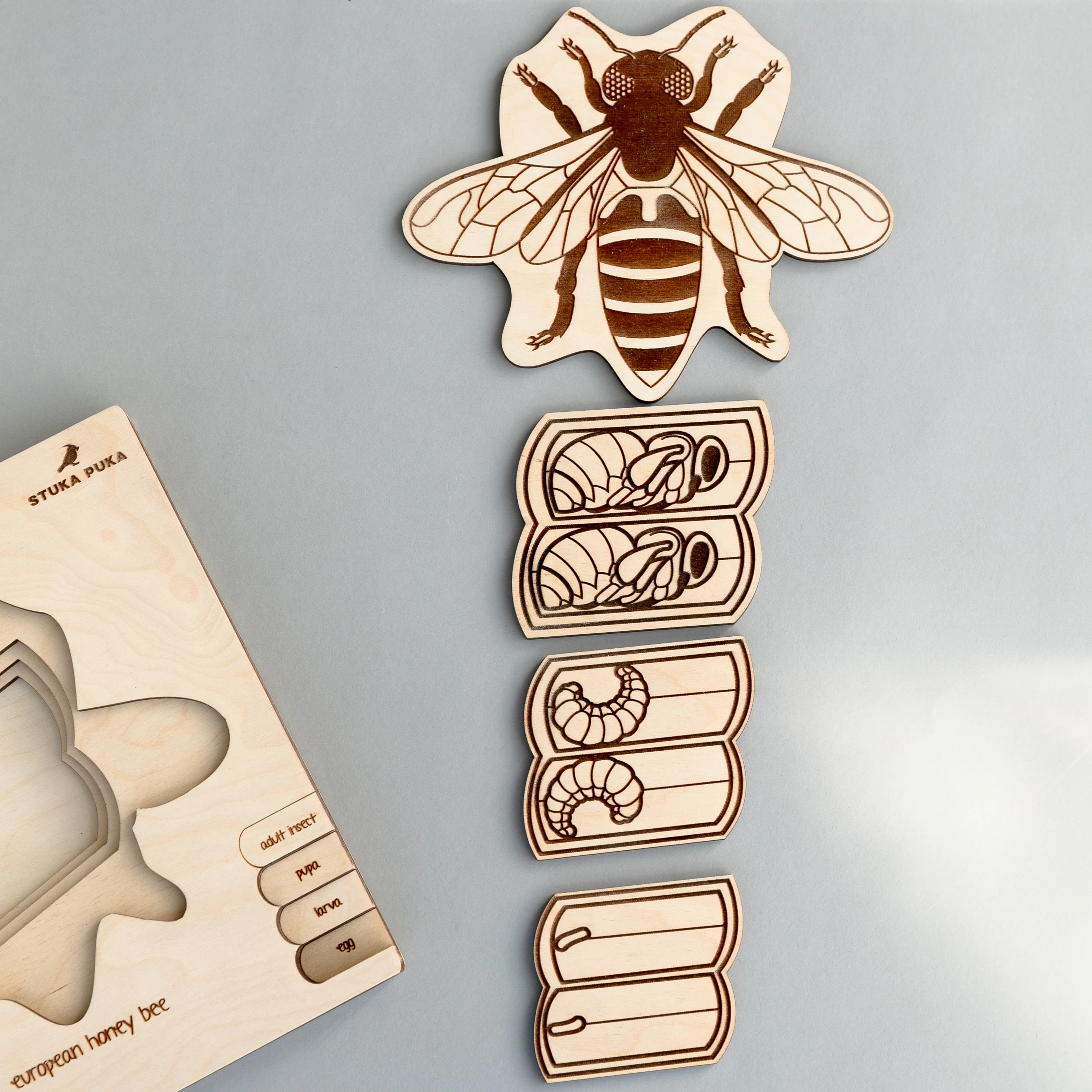 Insects Life Cycle Wooden Puzzle - Image 7