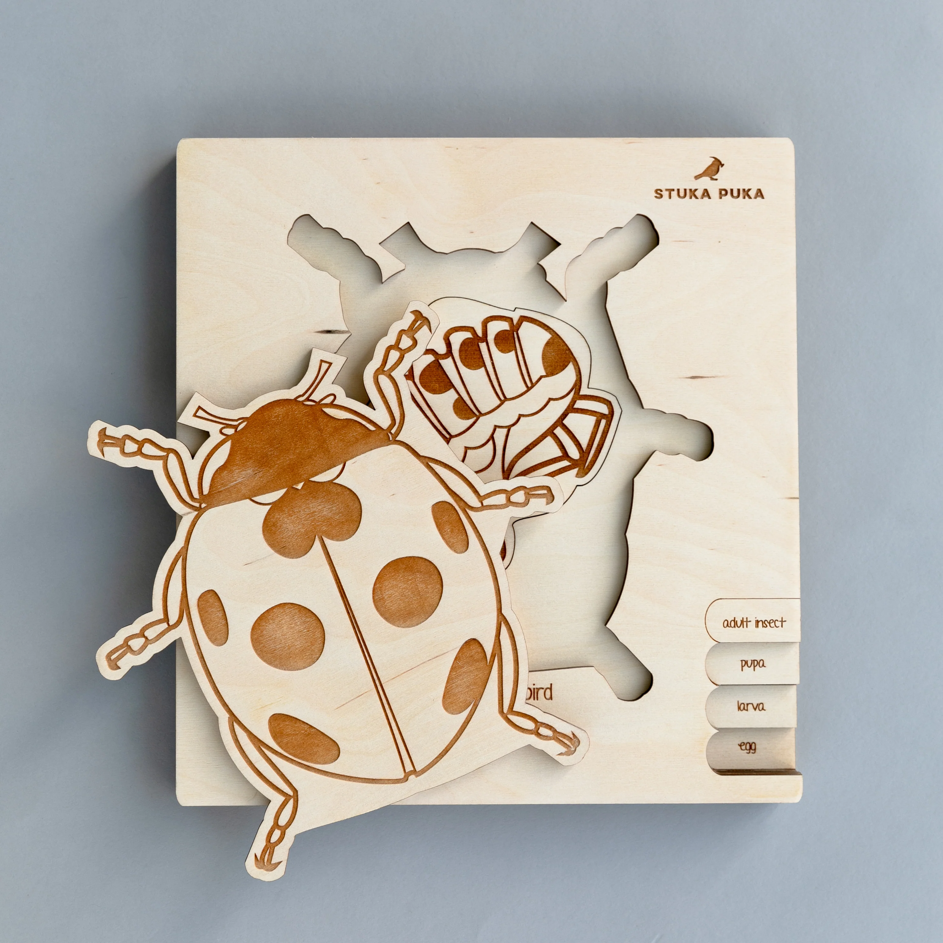 Insects Life Cycle Wooden Puzzle - Image 8