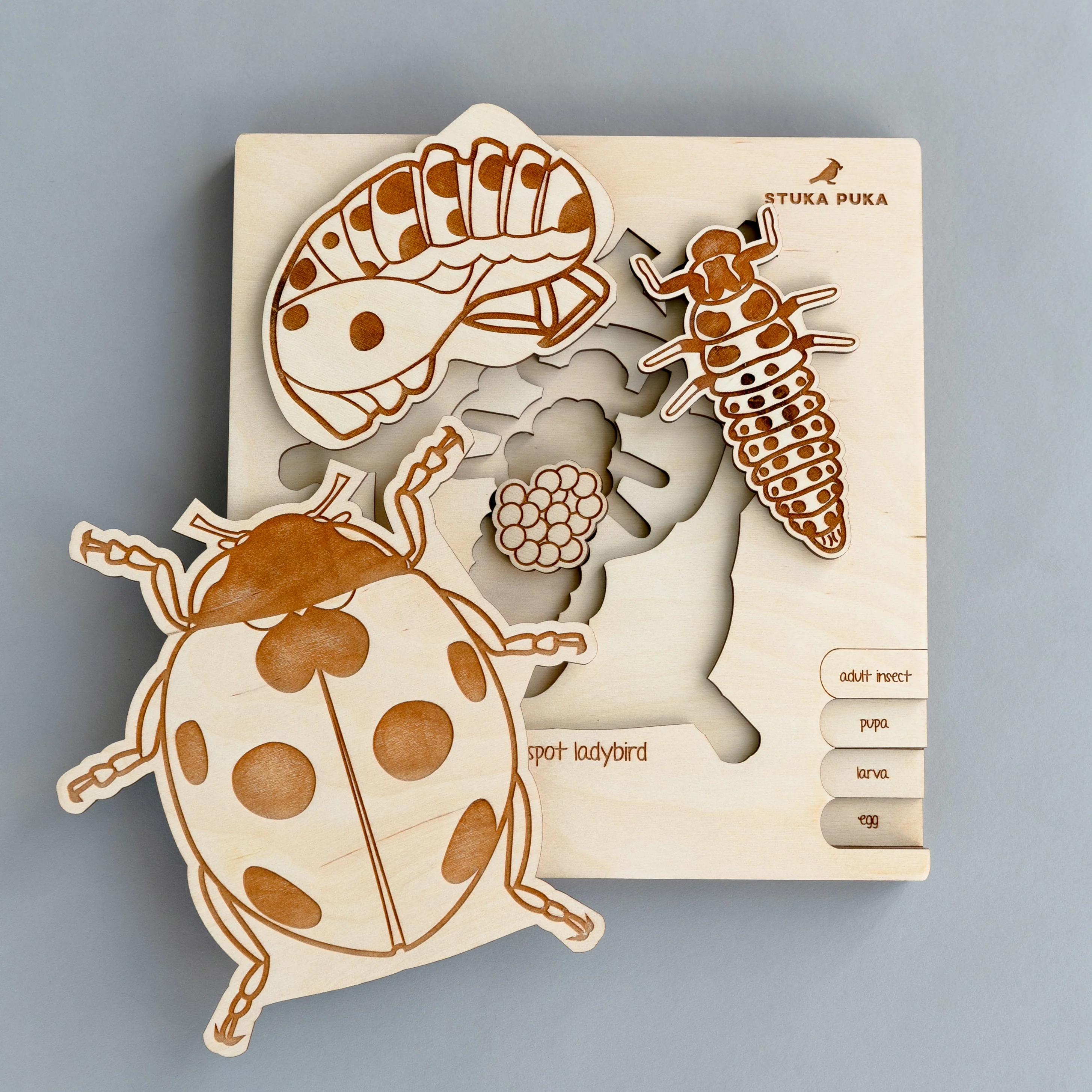 Insects Life Cycle Wooden Puzzle - Image 9