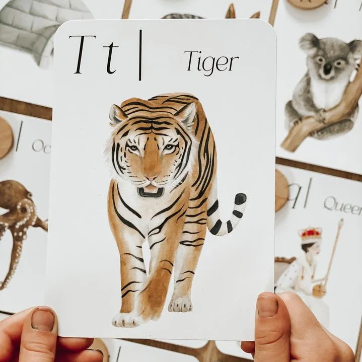 Jo Collier Designs | Around the World Phonics and Sounds Flashcards - Image 6