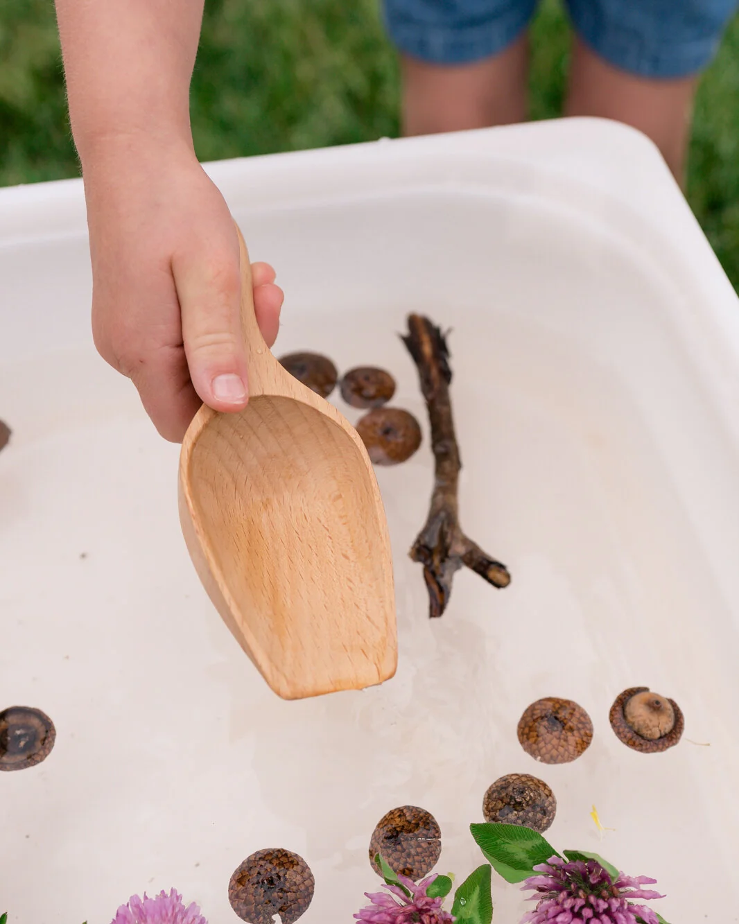Wooden Scoop - Image 5