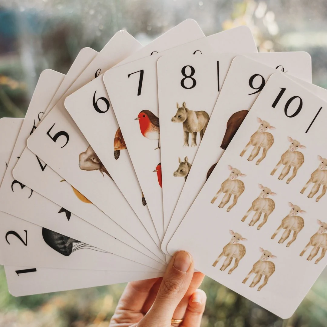 Jo Collier Designs | Nature's 123 Flashcards - Image 2