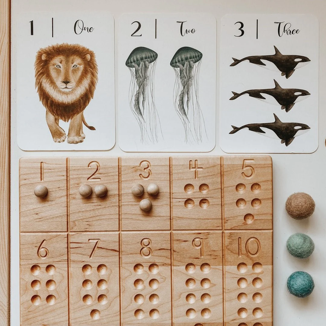 Jo Collier Designs | Nature's 123 Flashcards - Image 3