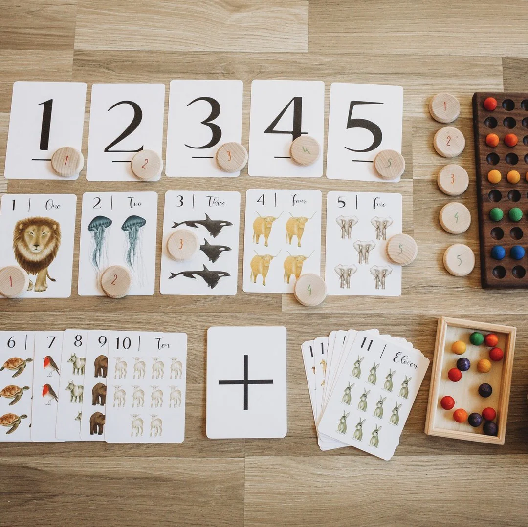 Jo Collier Designs | Nature's 123 Flashcards - Image 5