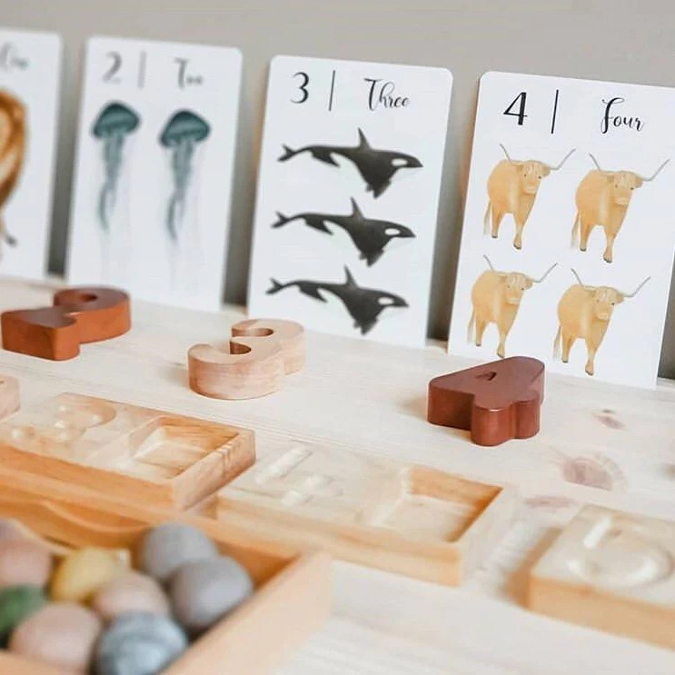 Jo Collier Designs | Nature's 123 Flashcards - Image 6