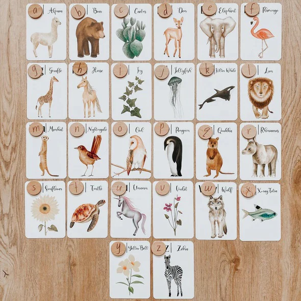 Jo Collier Designs | Nature's ABC Flashcards - Image 10