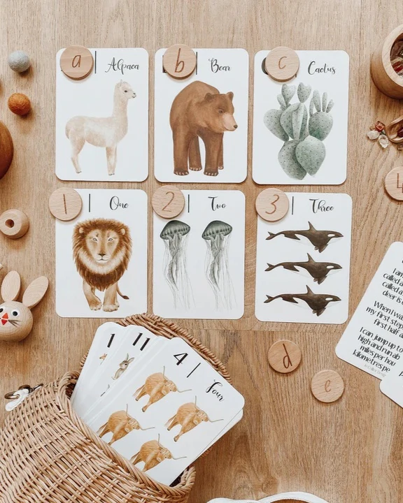 Jo Collier Designs | Nature's ABC Flashcards - Image 11