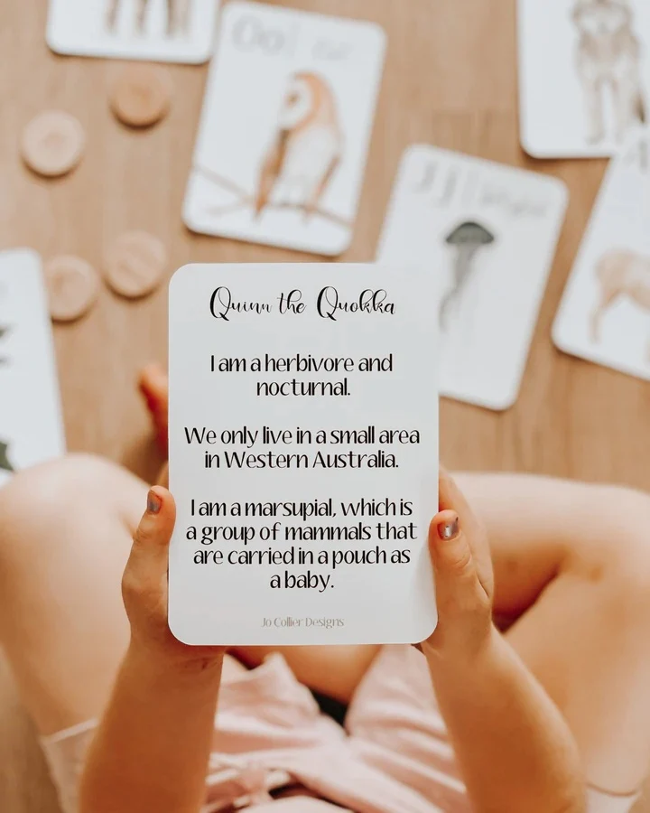 Jo Collier Designs | Nature's ABC Flashcards - Image 6