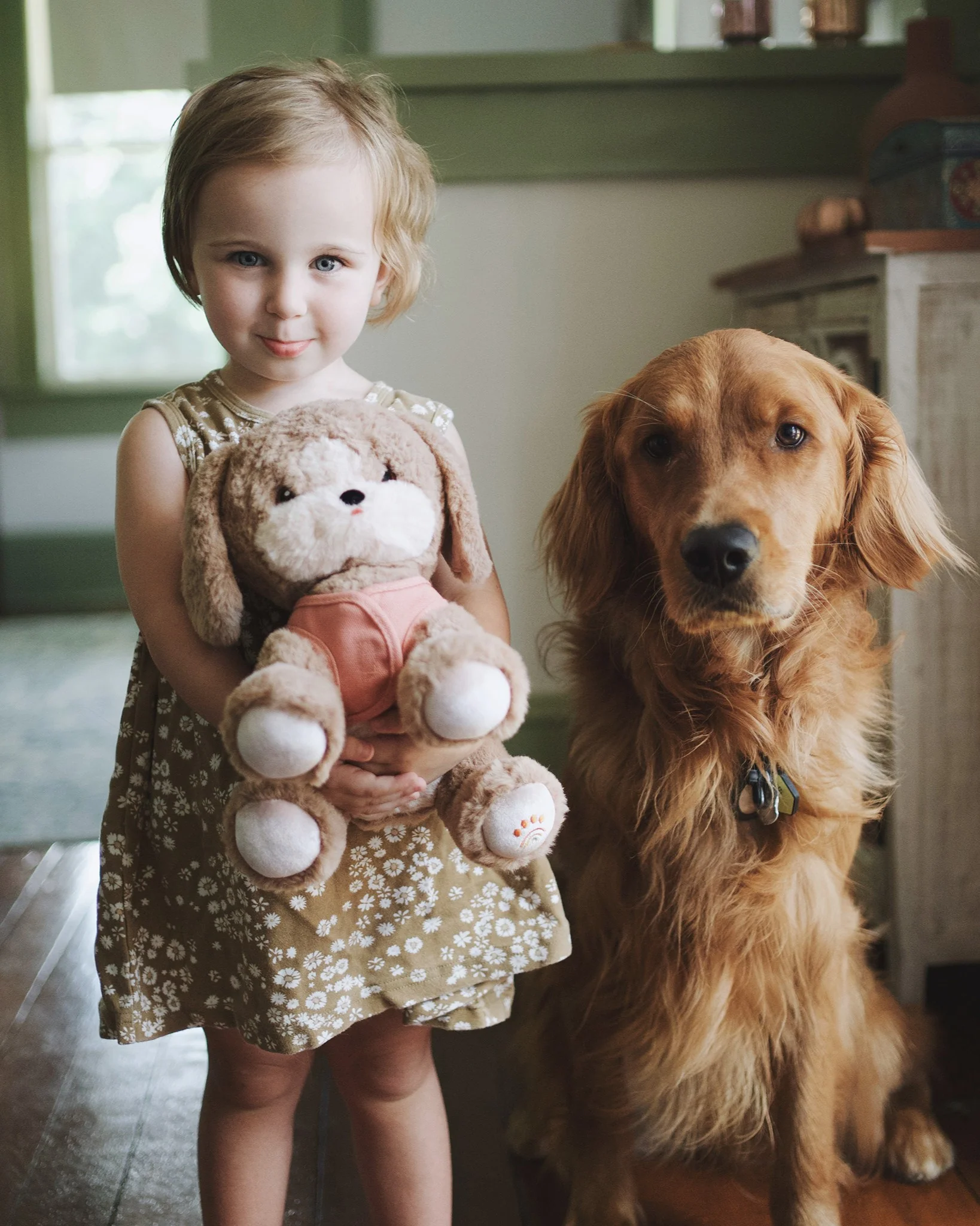 Olli Ella | Dinkum Dogs - Honey - Image 7