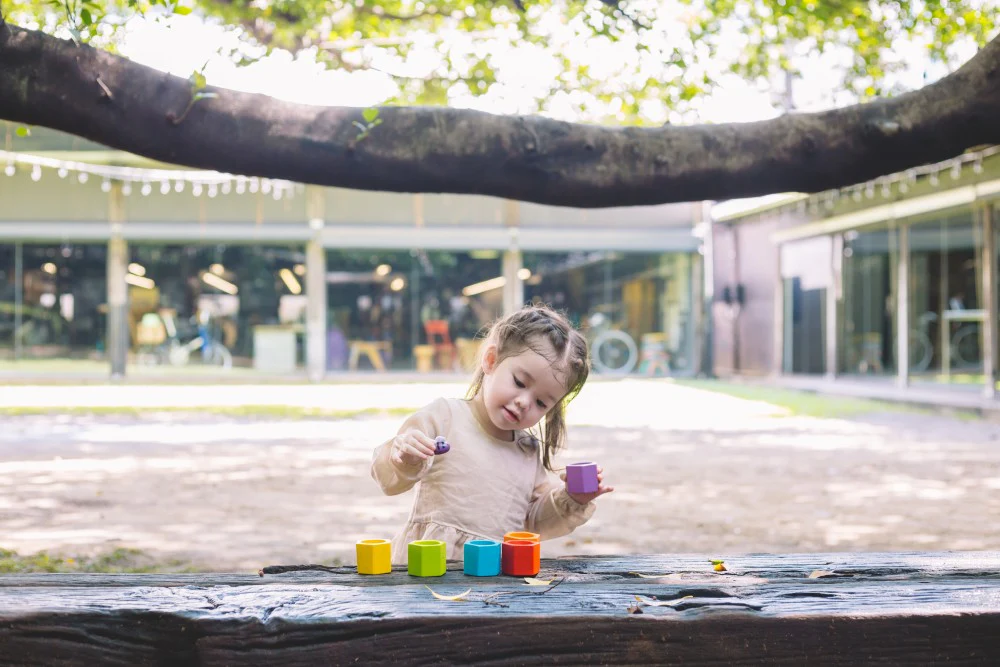 PlanToys | Beehives: Award-Winning Color Sorting and Fine Motor Development - Image 11
