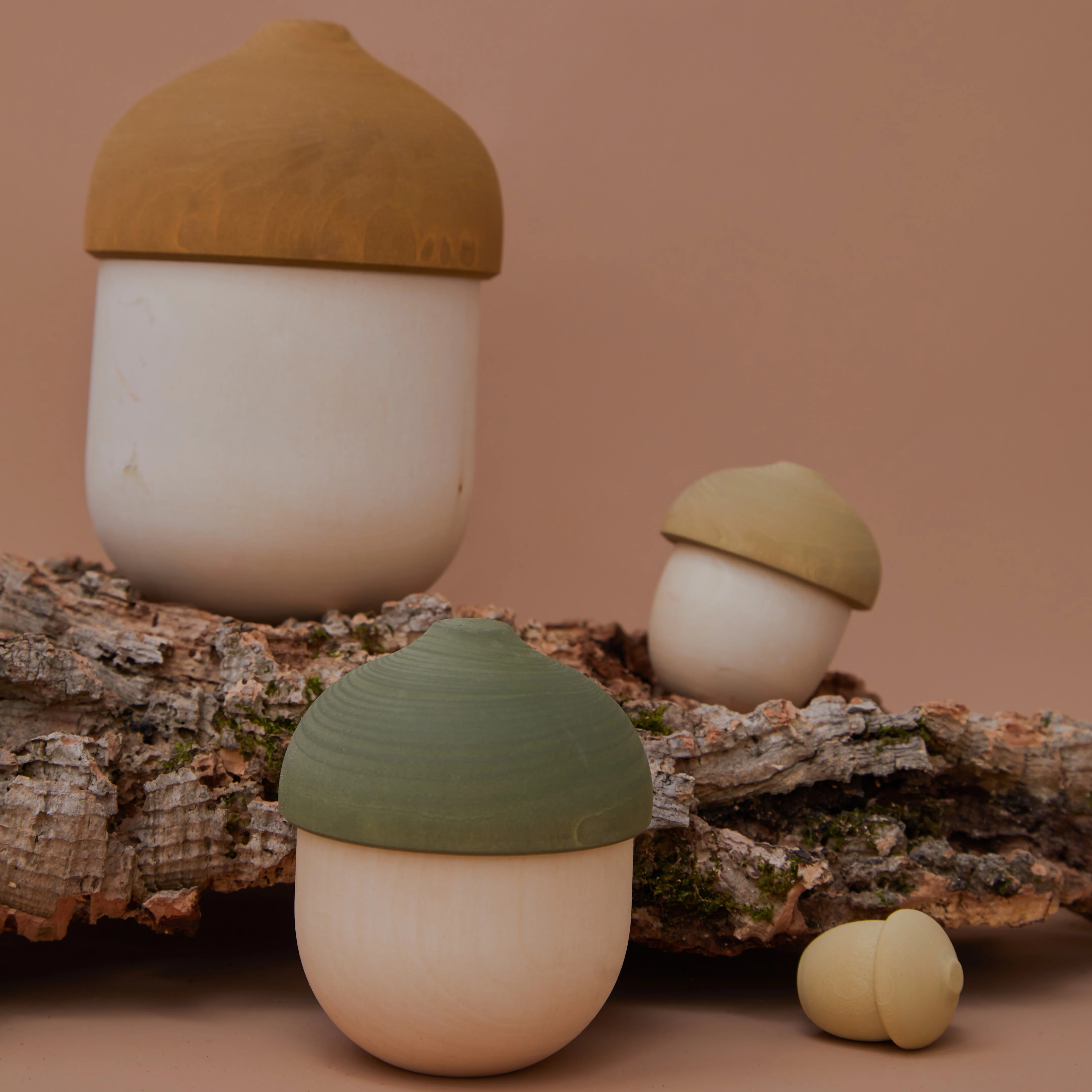 Raduga Grez | Nesting Acorns - Image 6