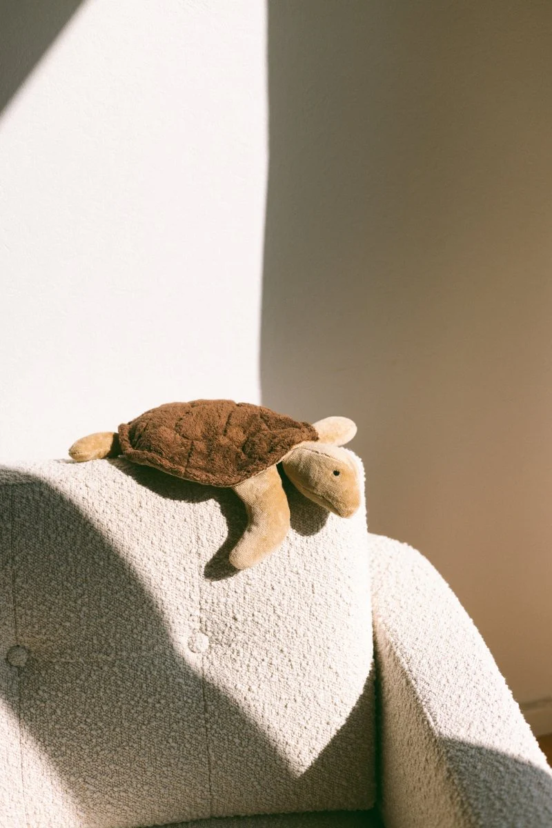 Senger Naturwelt | European-made | Cuddly Animal - Brown Turtle - Image 9