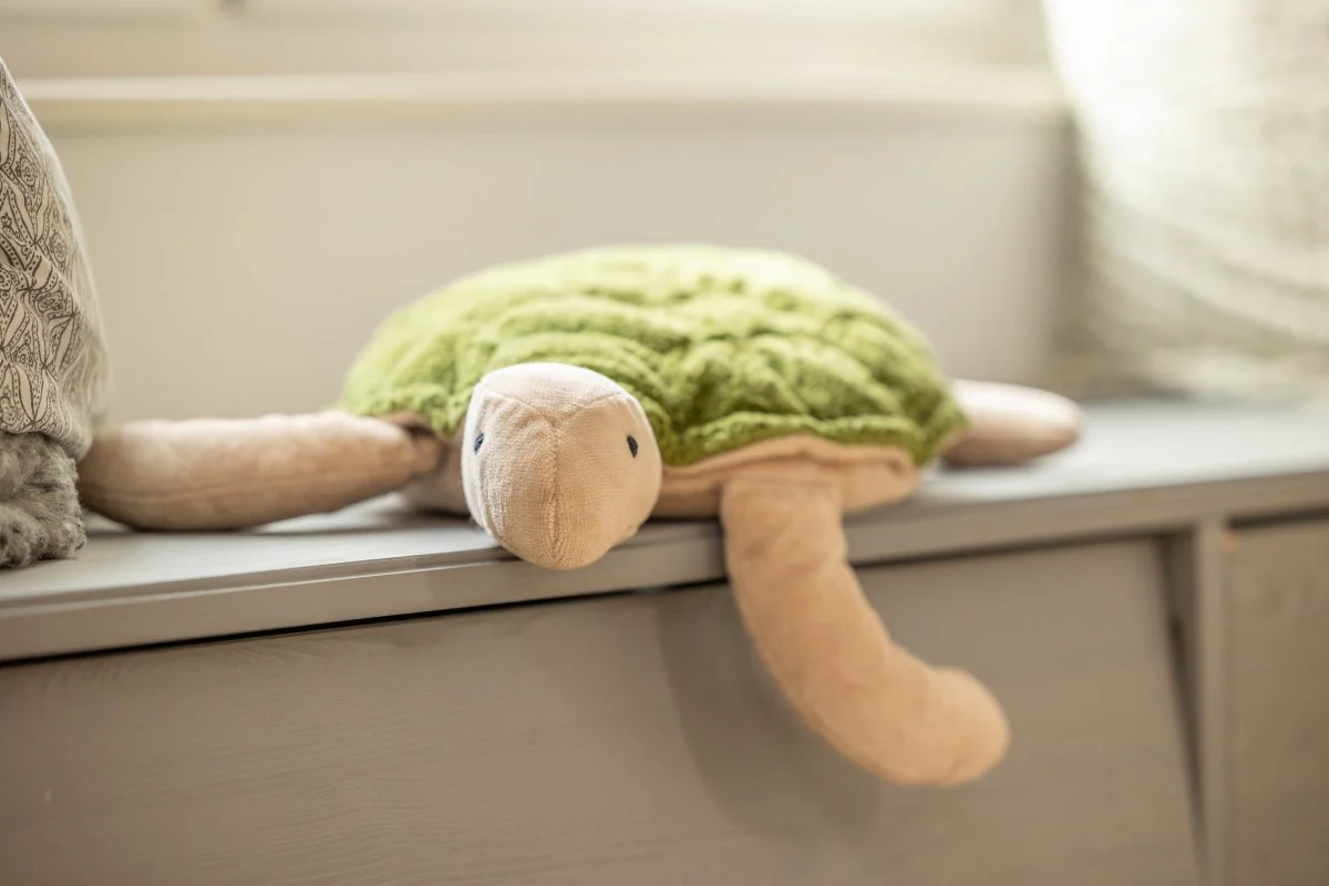 Senger Naturwelt | European-made | Cuddly Animal - Green Turtle - Image 3
