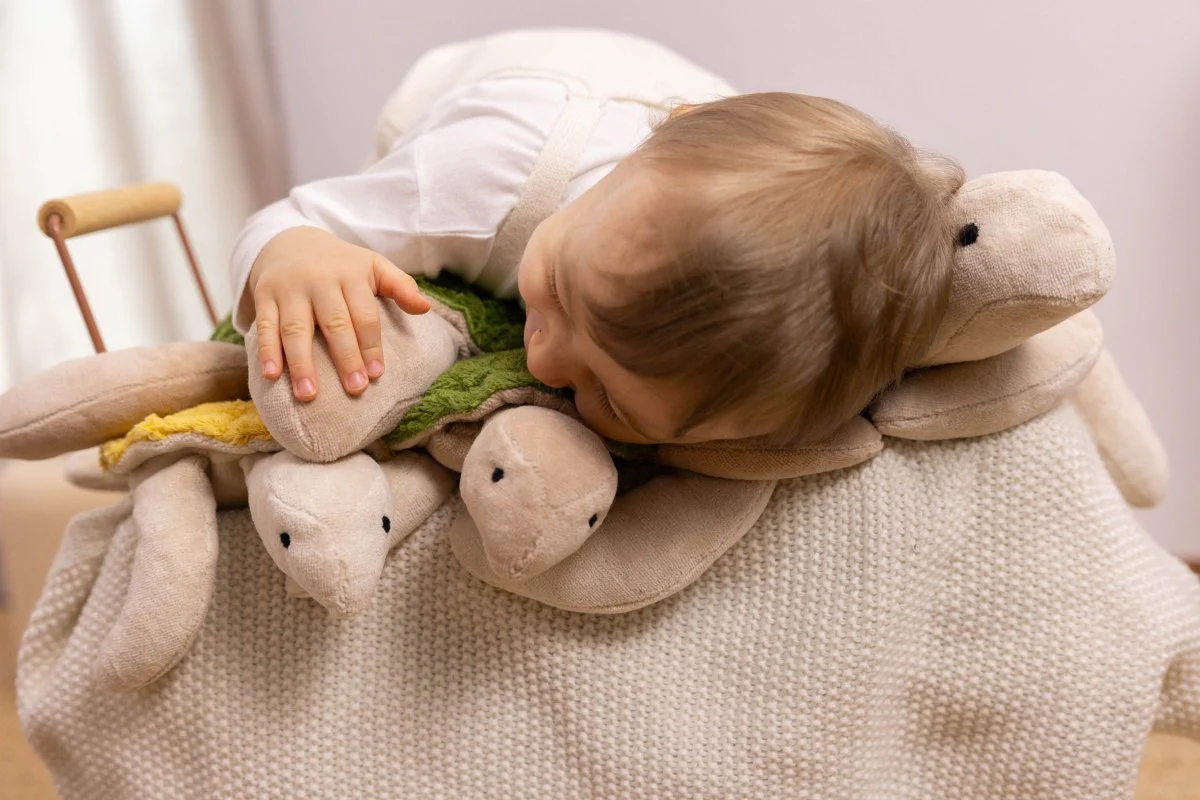 Senger Naturwelt | European-made | Cuddly Animal - Brown Turtle - Image 6