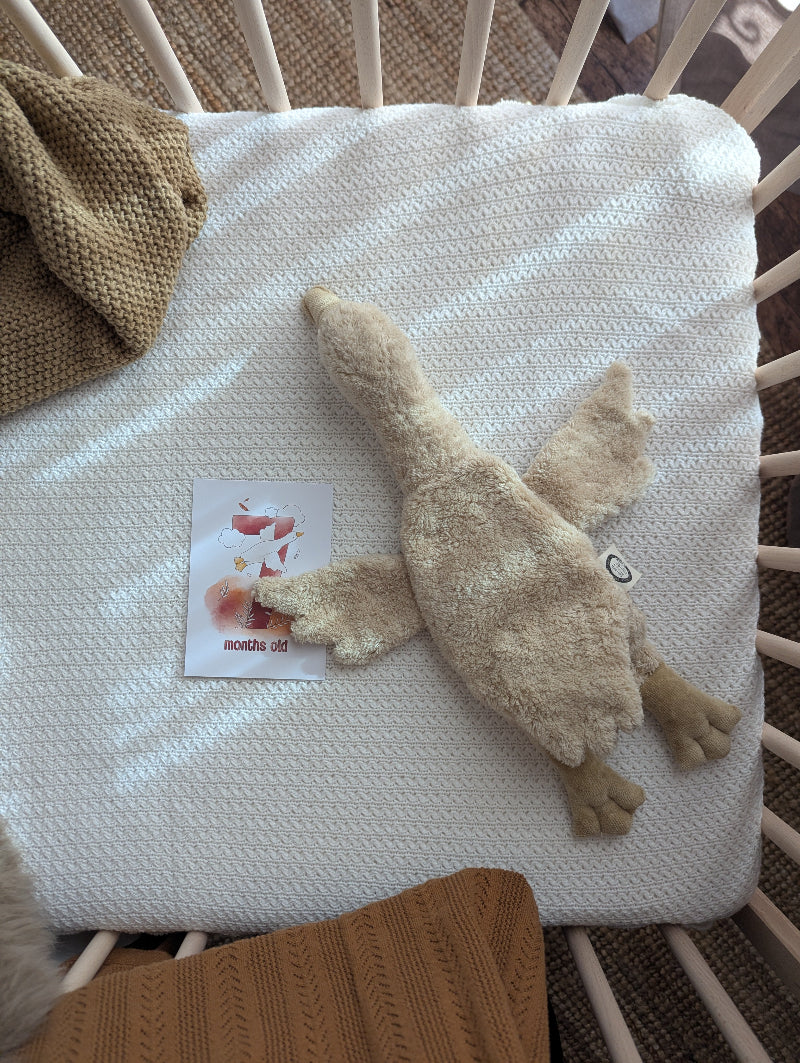 Senger Naturwelt | European-Made | Cuddly Animal - Linen Cream Goose - Image 8