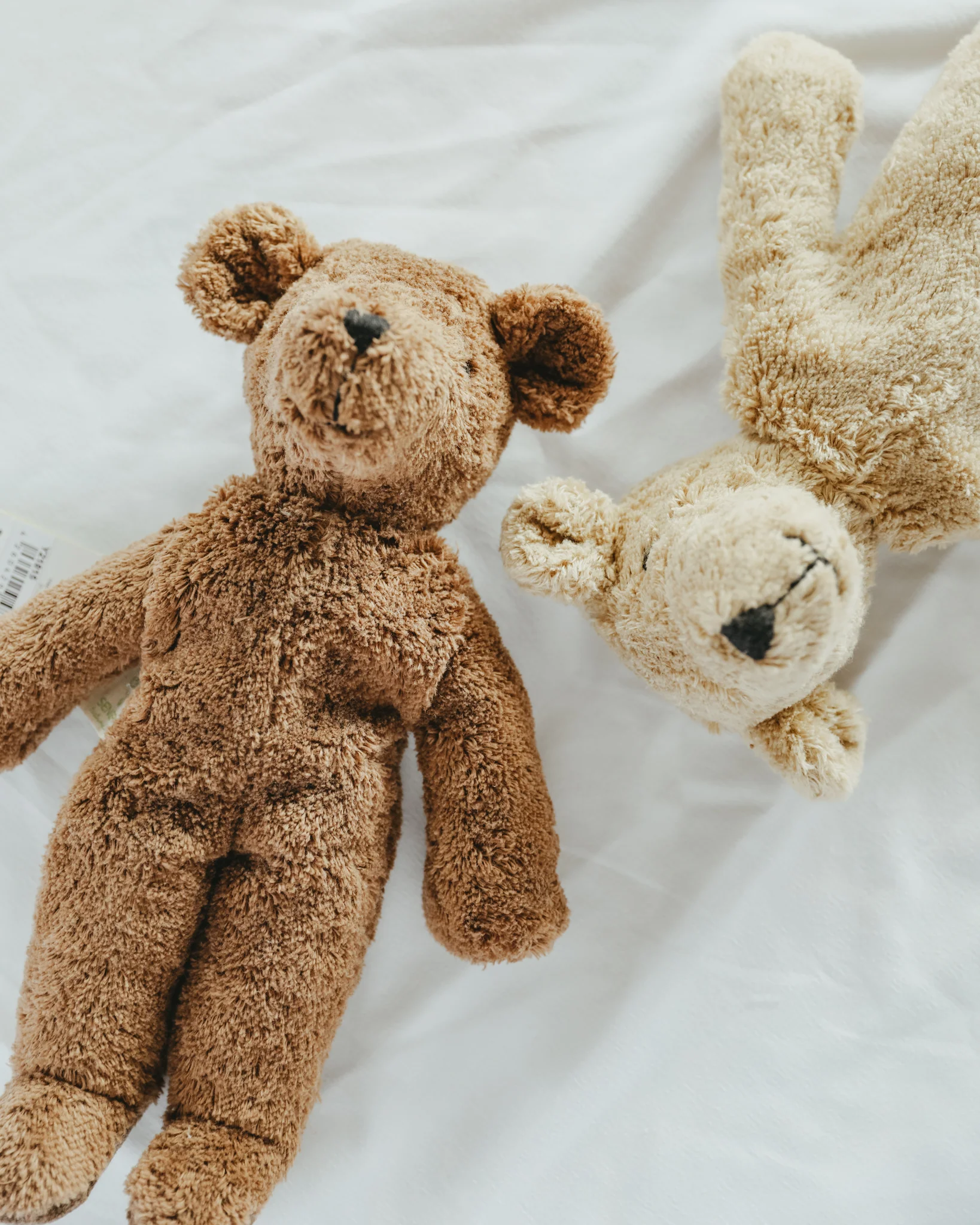 Senger Naturwelt | Floppy Animal - Beige Bear - Image 4