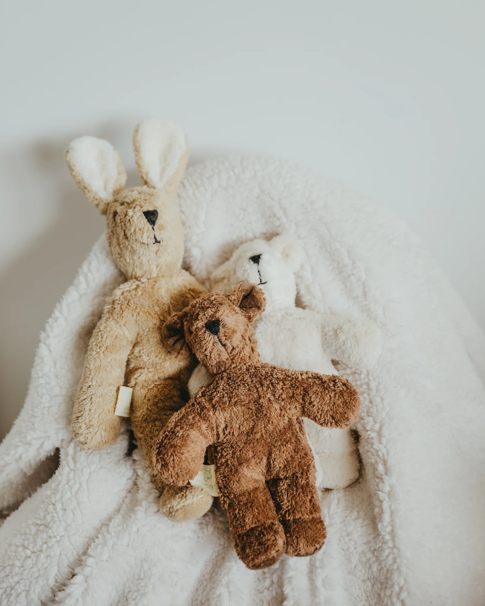 Senger Naturwelt | Floppy Animal - Beige Bear - Image 5