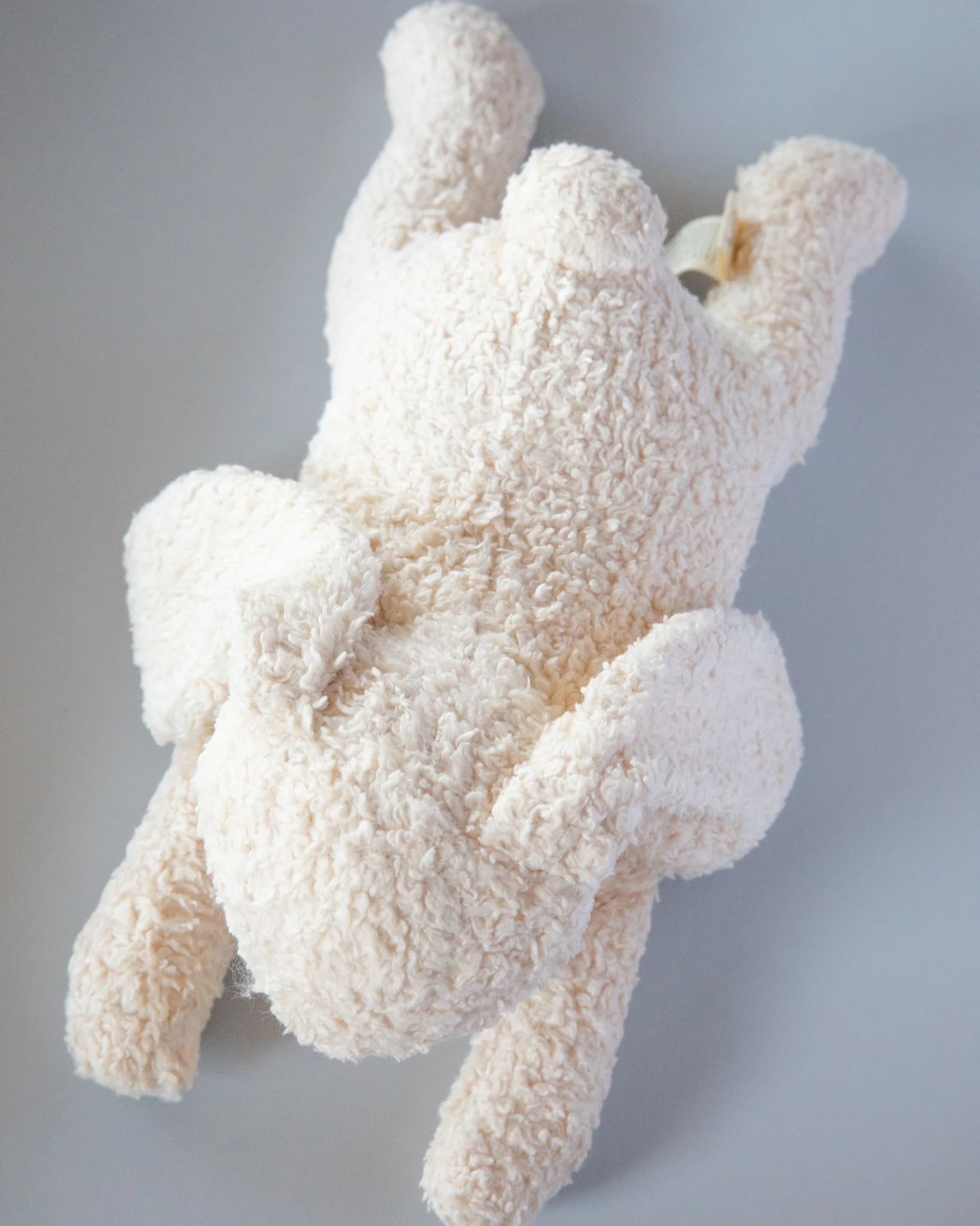 Stuffed Teddy Bunny - Image 4