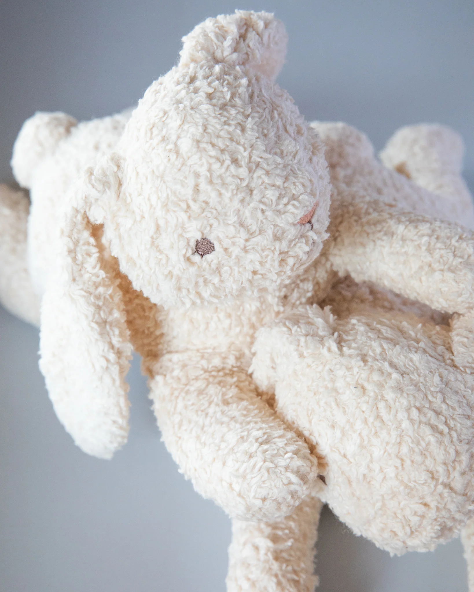 Stuffed Teddy Bunny - Image 5